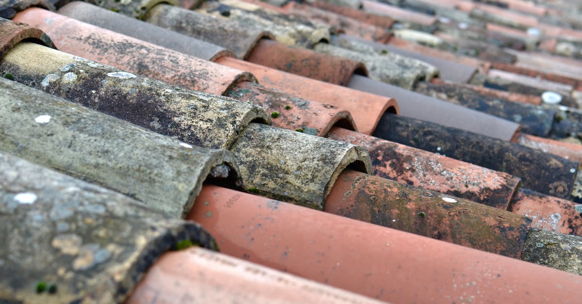 Key Considerations for Patching Leaks in Roofs