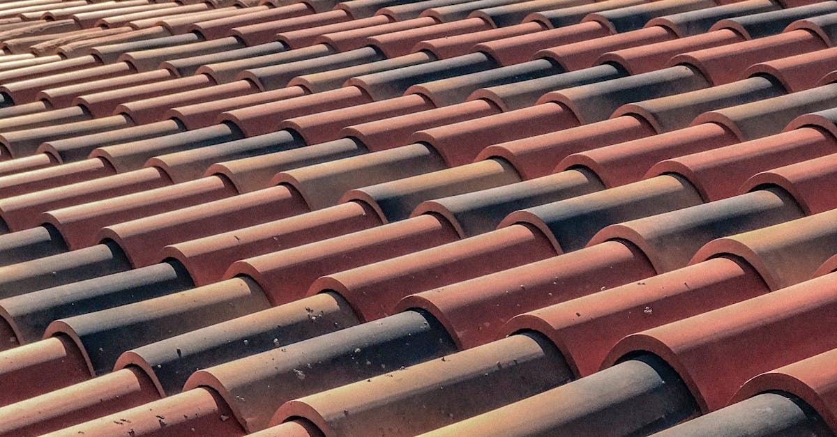 The Use of Green Roof Systems in Sustainable Commercial Buildings