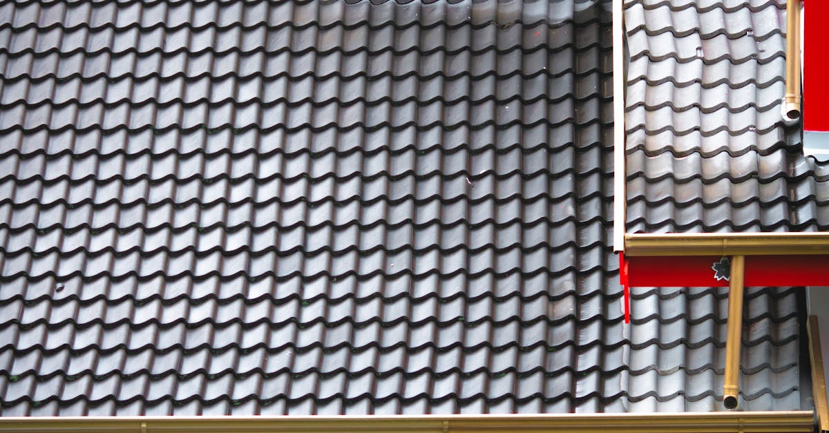 Understanding the Importance of Regular Gutter Maintenance